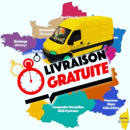 logo livraison gratuite