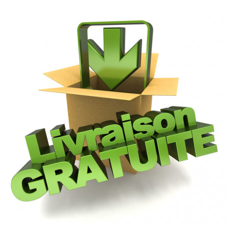 logo livraison gratuite