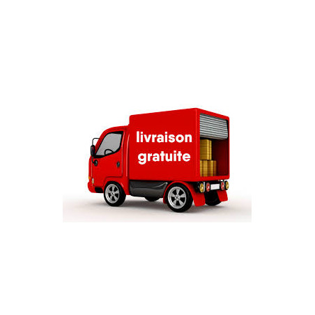 livraison gratuite logo